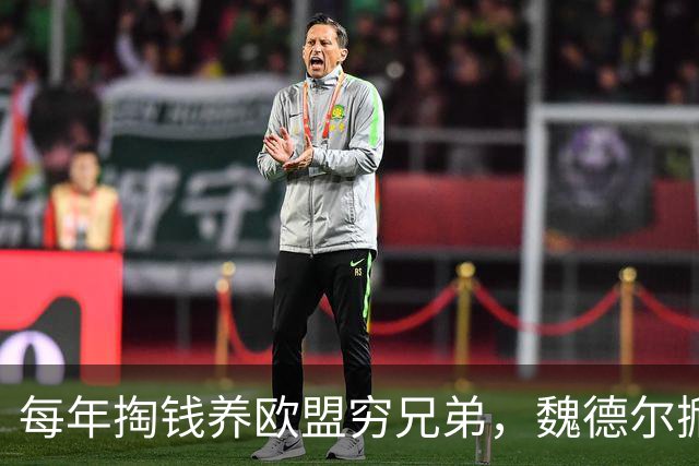 每年掏钱养欧盟穷兄弟，魏德尔掀桌：德国已破产，钱该给本国人花